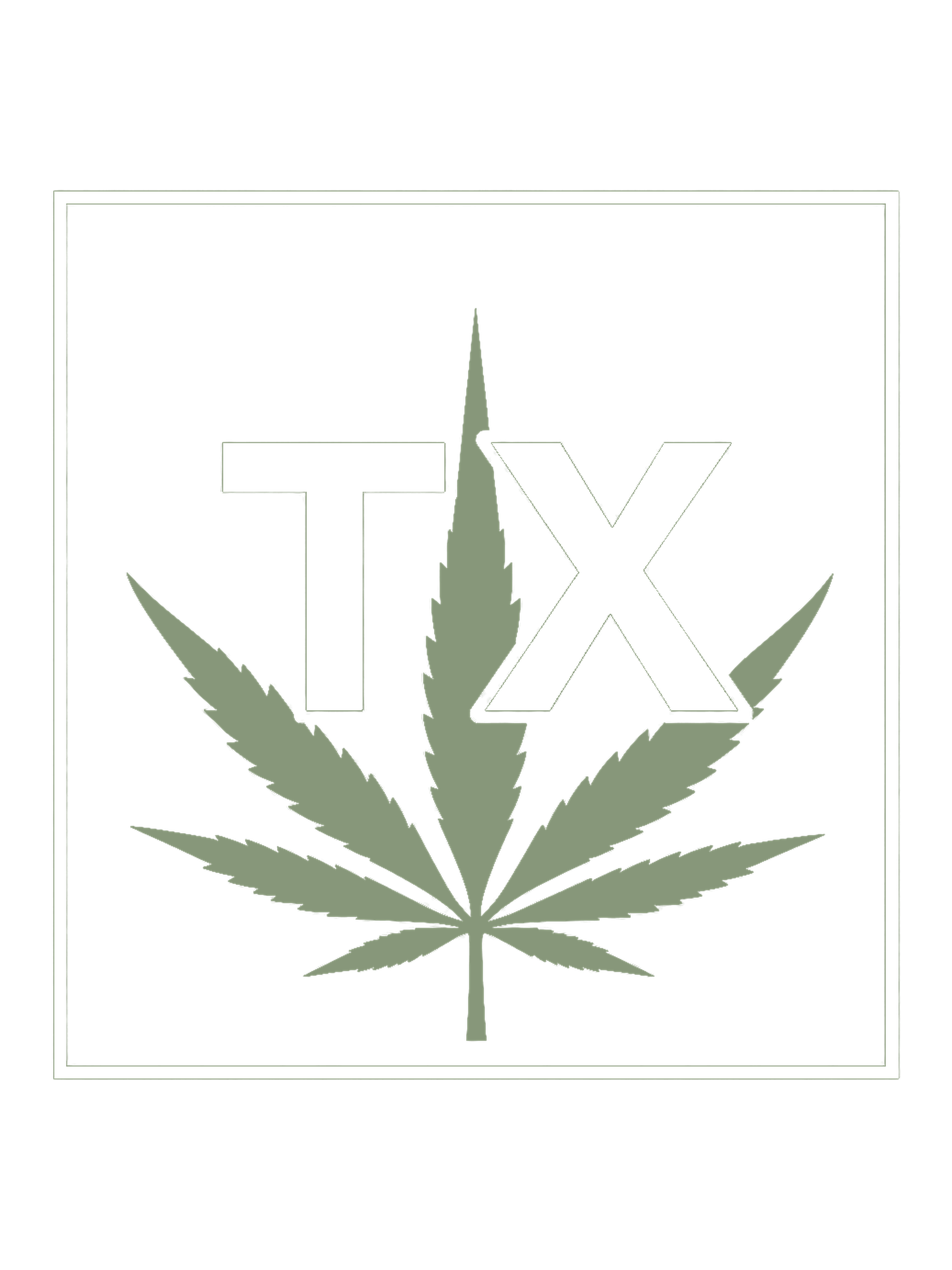 White Texas Cannabis Ledger TX mark and square frame around a sage cannabis leaf, designed for a black hoodie